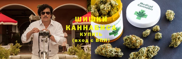 прущий лед Дмитриев